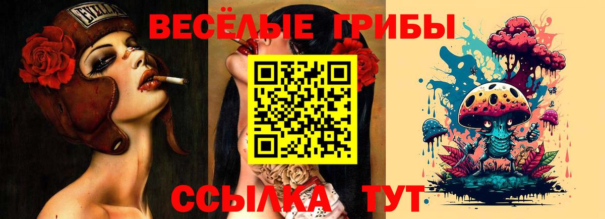 Галлюциногенные грибы мухоморы  Вход с VPN  Дзержинск  Галлюциногенные грибы Cubensis 