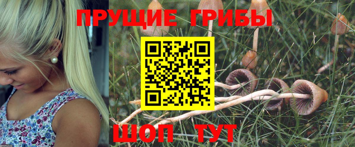 Галлюциногенные грибы MAGIC MUSHROOMS Дзержинск